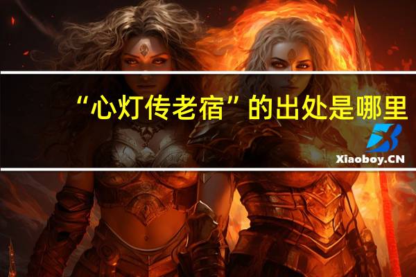 “心灯传老宿”的出处是哪里