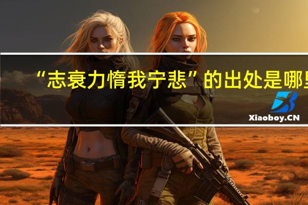 “志衰力惰我宁悲”的出处是哪里
