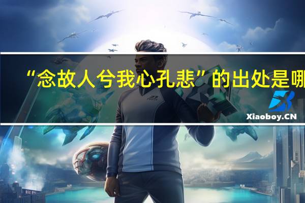 “念故人兮我心孔悲”的出处是哪里