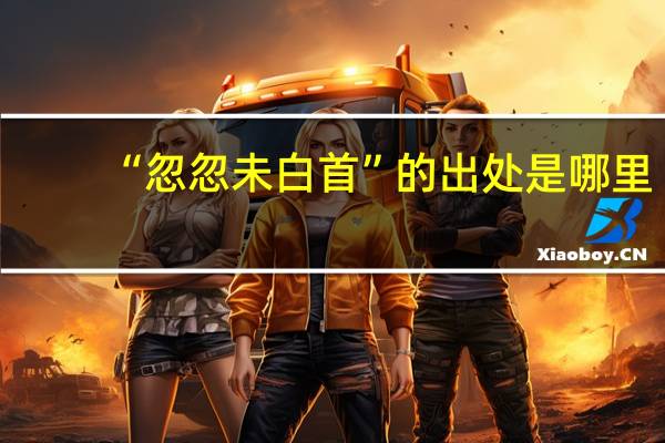 “忽忽未白首”的出处是哪里