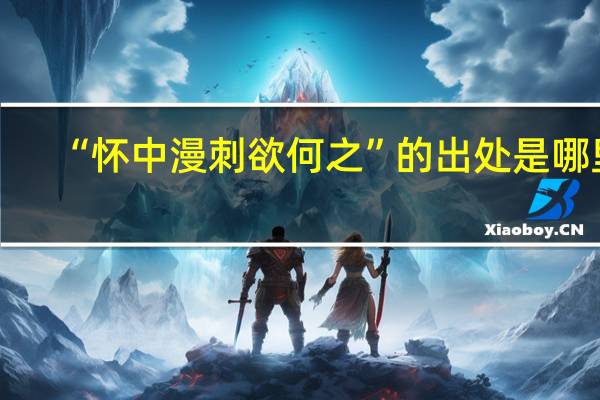 “怀中漫刺欲何之”的出处是哪里