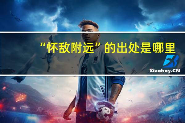 “怀敌附远”的出处是哪里
