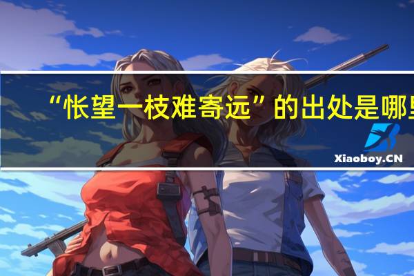 “怅望一枝难寄远”的出处是哪里