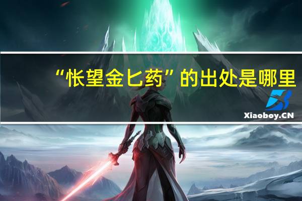 “怅望金匕药”的出处是哪里