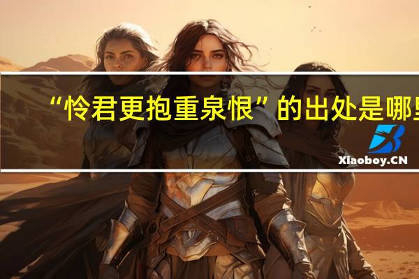 “怜君更抱重泉恨”的出处是哪里