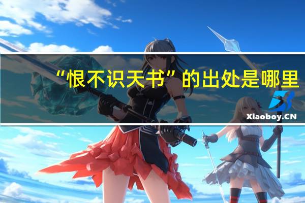 “恨不识天书”的出处是哪里