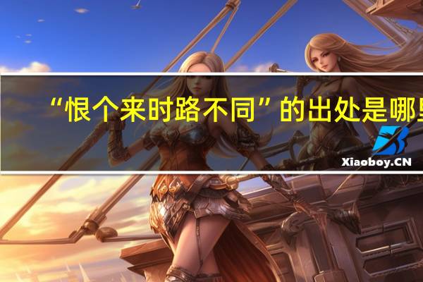 “恨个来时路不同”的出处是哪里