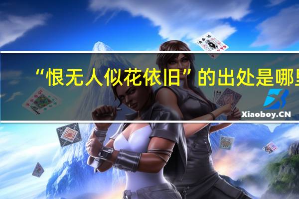 “恨无人似花依旧”的出处是哪里