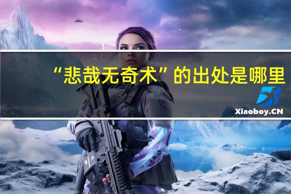 “悲哉无奇术”的出处是哪里