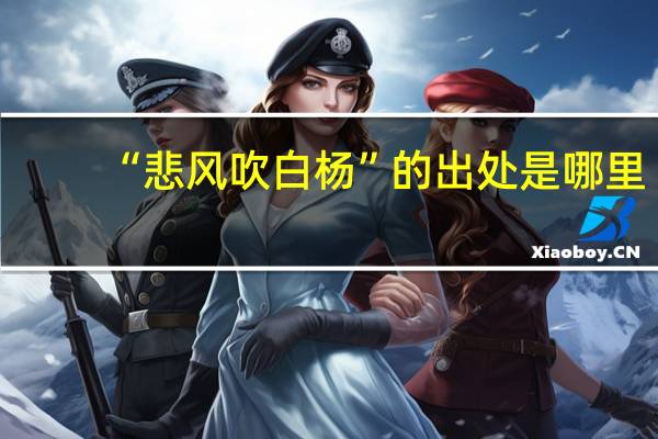 “悲风吹白杨”的出处是哪里