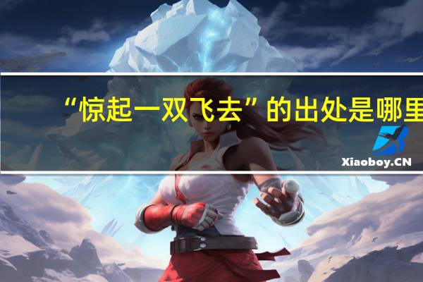 “惊起一双飞去”的出处是哪里