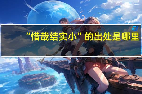 “惜哉结实小”的出处是哪里