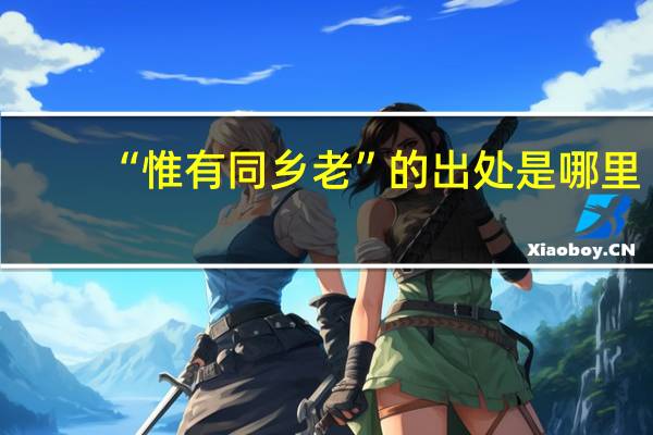 “惟有同乡老”的出处是哪里
