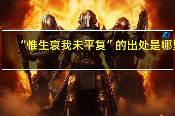 “惟生哀我未平复”的出处是哪里