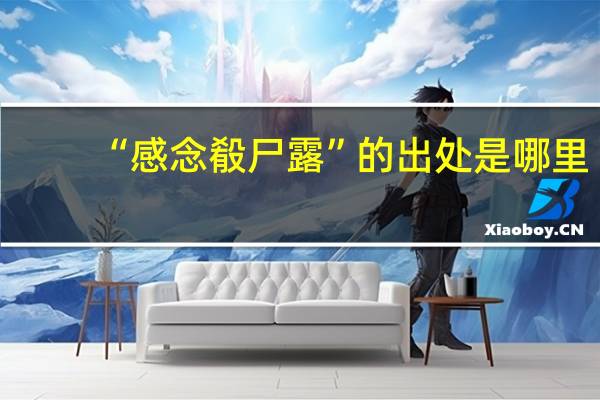 “感念殽尸露”的出处是哪里