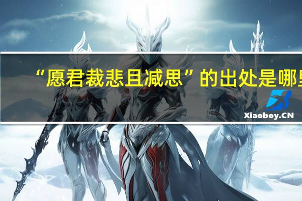 “愿君裁悲且减思”的出处是哪里
