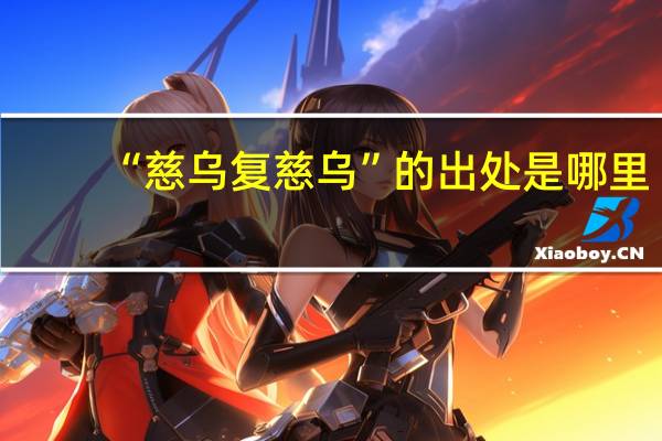 “慈乌复慈乌”的出处是哪里