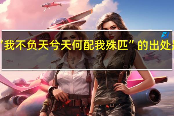 “我不负天兮天何配我殊匹”的出处是哪里