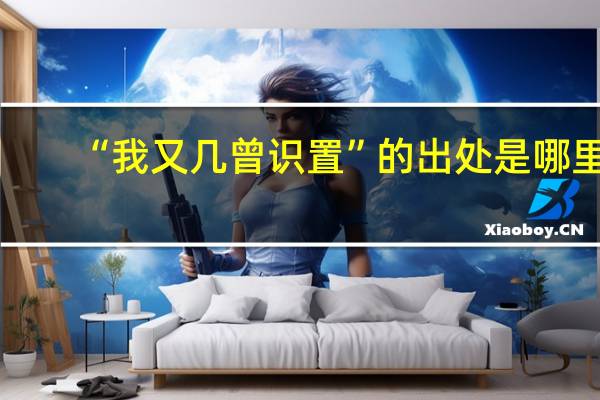 “我又几曾识置”的出处是哪里