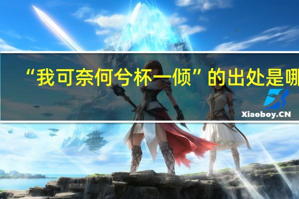 “我可奈何兮杯一倾”的出处是哪里