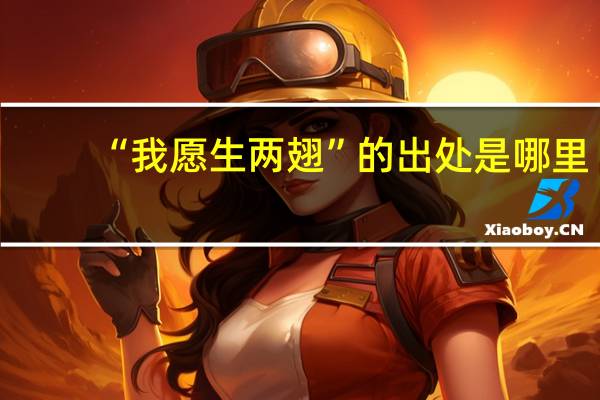 “我愿生两翅”的出处是哪里
