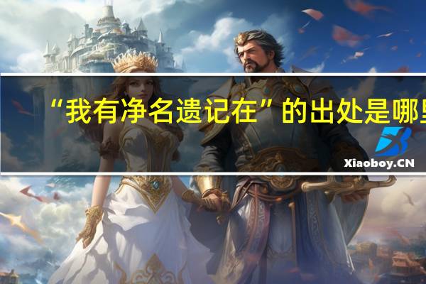 “我有净名遗记在”的出处是哪里