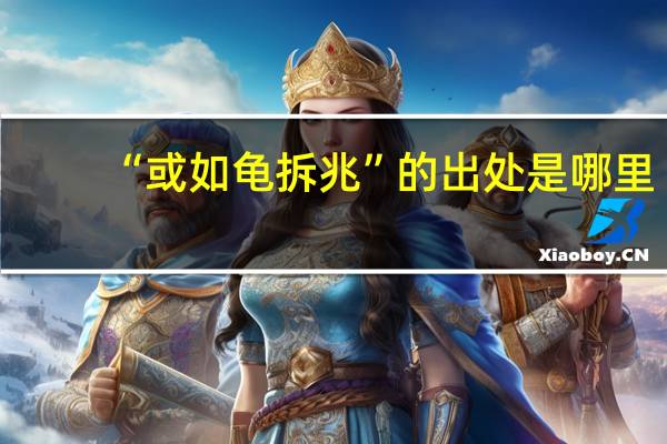 “或如龟拆兆”的出处是哪里