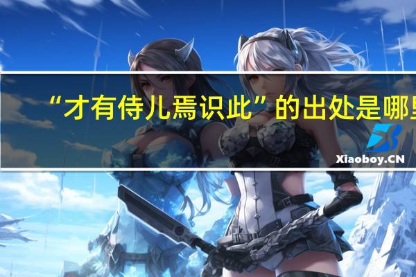 “才有侍儿焉识此”的出处是哪里