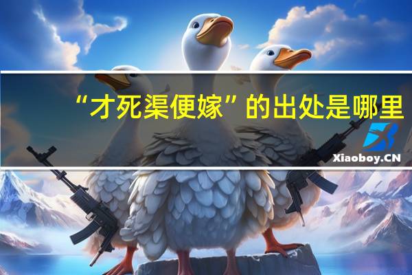 “才死渠便嫁”的出处是哪里
