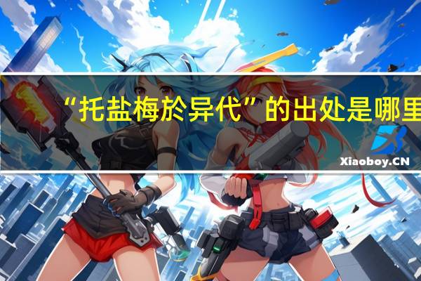 “托盐梅於异代”的出处是哪里