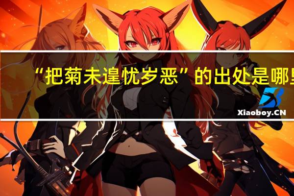 “把菊未遑忧岁恶”的出处是哪里