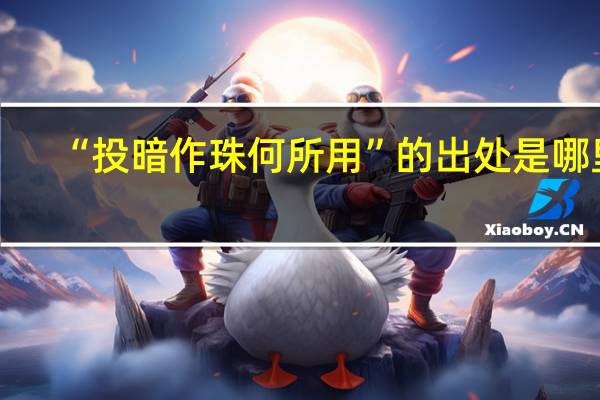 “投暗作珠何所用”的出处是哪里