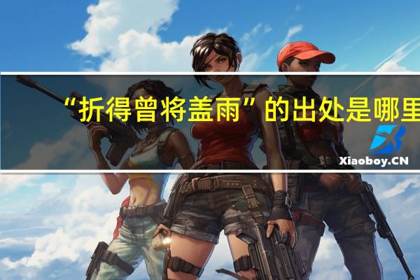 “折得曾将盖雨”的出处是哪里