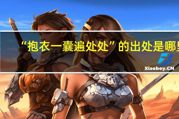 “抱衣一囊遍处处”的出处是哪里