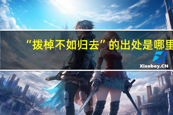 “拨棹不如归去”的出处是哪里