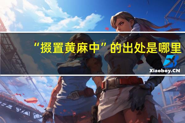 “掇置黄麻中”的出处是哪里