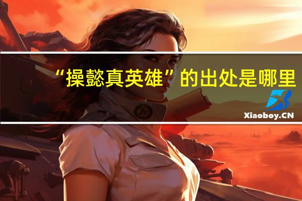 “操懿真英雄”的出处是哪里