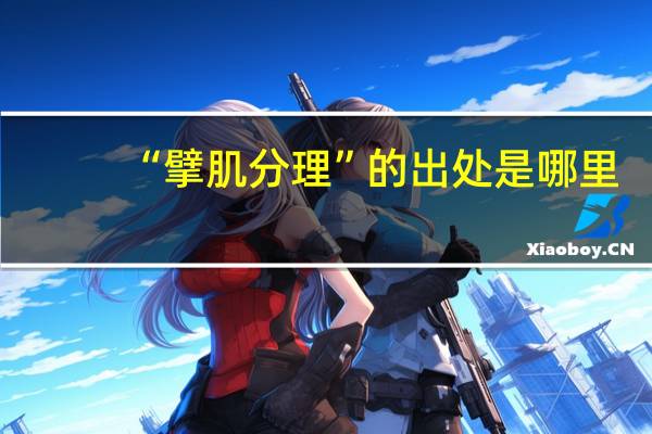 “擘肌分理”的出处是哪里