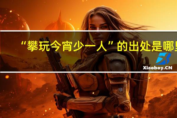 “攀玩今宵少一人”的出处是哪里