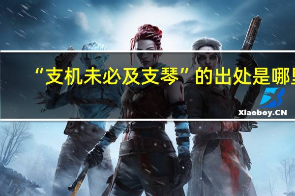 “支机未必及支琴”的出处是哪里