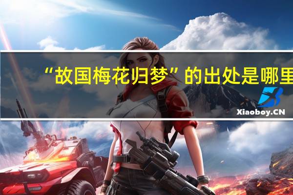“故国梅花归梦”的出处是哪里