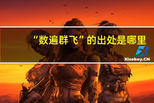 “数遍群飞”的出处是哪里