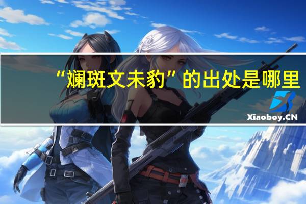 “斓斑文未豹”的出处是哪里