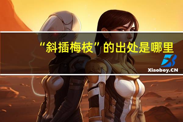“斜插梅枝”的出处是哪里