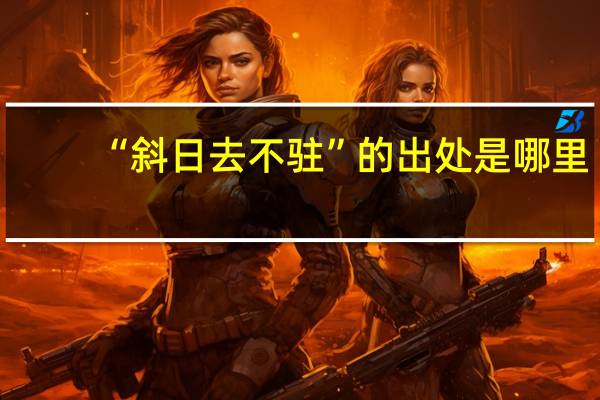 “斜日去不驻”的出处是哪里