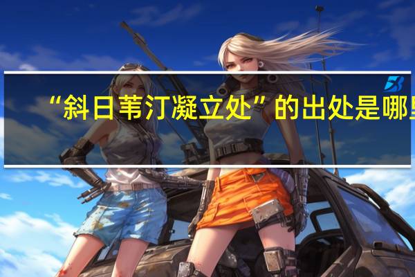 “斜日苇汀凝立处”的出处是哪里