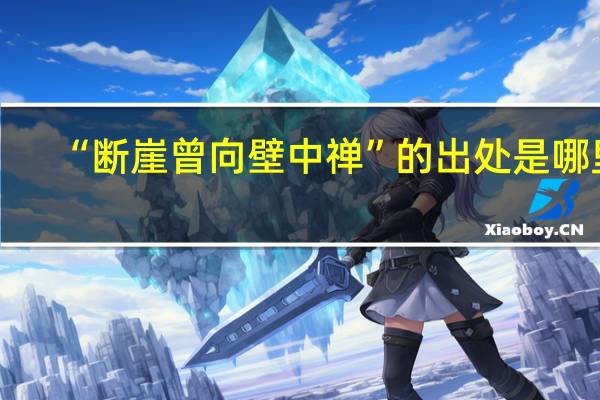 “断崖曾向壁中禅”的出处是哪里
