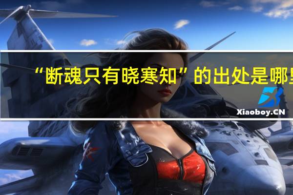 “断魂只有晓寒知”的出处是哪里