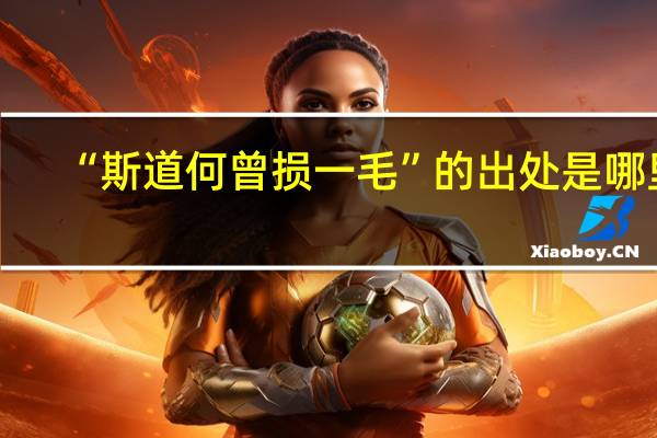 “斯道何曾损一毛”的出处是哪里