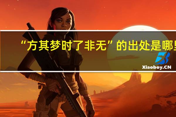 “方其梦时了非无”的出处是哪里